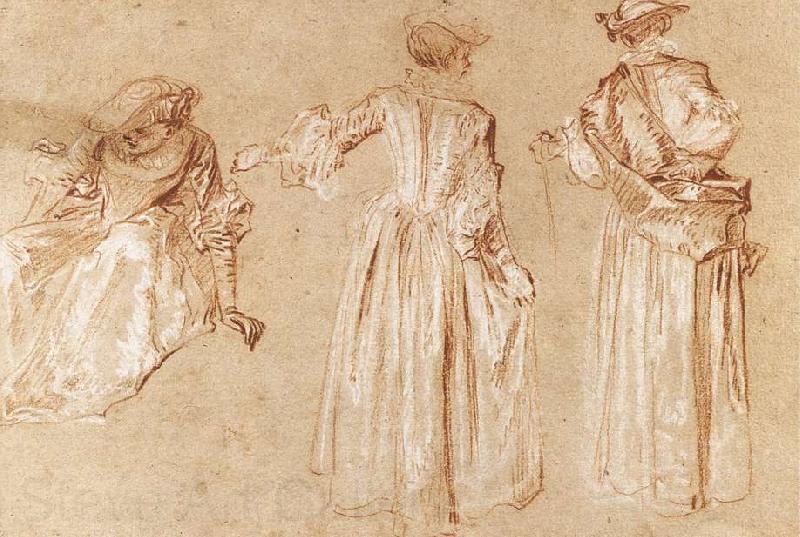 WATTEAU, Antoine Three Studies of a Lady with a Hat Norge oil painting art